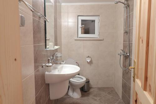 MadzharovoVulture Centre Eastern Rhodopes的浴室配有卫生间、盥洗盆和淋浴。
