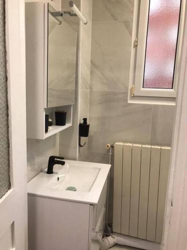 巴黎Charmant appartement cosy 2 pièces Paris 15e的白色的浴室设有水槽和镜子
