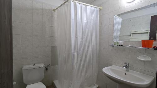 第比利斯Guesthouse Kartli的白色的浴室设有卫生间和水槽。