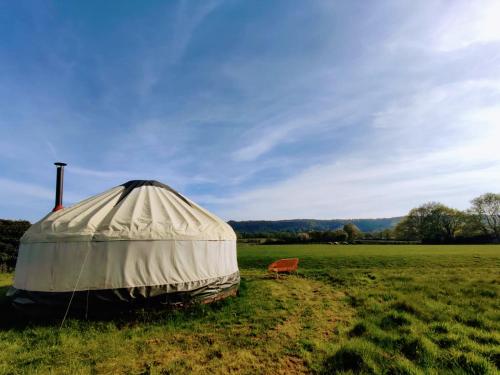 GraffhamBeautiful Yurt with stunning South Downs views的田野中间的蒙古包,带椅子