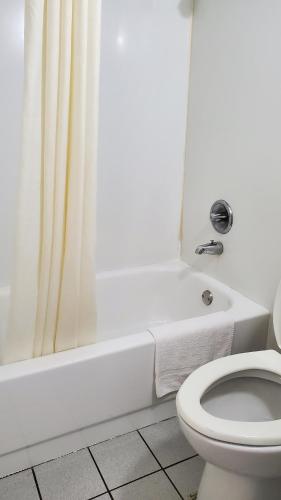 兰辛Starway Inn的浴室配有白色卫生间和淋浴。
