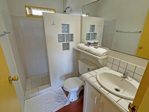 Carnbee VillageSherwood Park Apartments的一间带水槽、卫生间和镜子的浴室