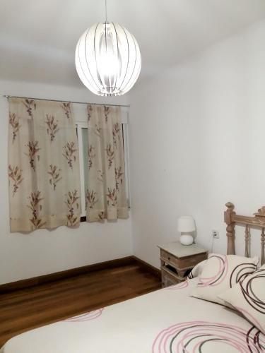 布埃乌4 bedrooms appartement at Bueu的一间卧室配有一张床和一个吊灯