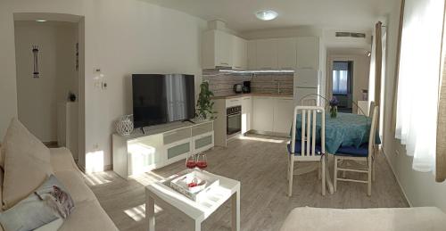 克尔克Apartmani Željka的带沙发和桌子的客厅以及厨房。