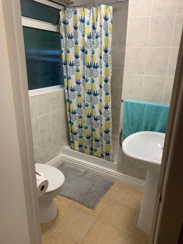 Bere Alston5th Wheel Trailer的浴室配有水槽、卫生间和浴帘