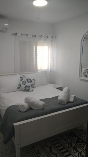 提比里亚LTD Hadas Garden apartment的卧室内的一张带两个枕头的床
