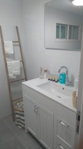 提比里亚LTD Hadas Garden apartment的白色的浴室设有水槽和梯子