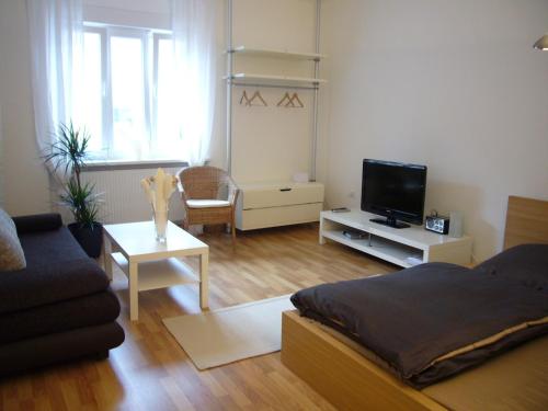 纽伦堡托门公寓的一间带床和电视的客厅