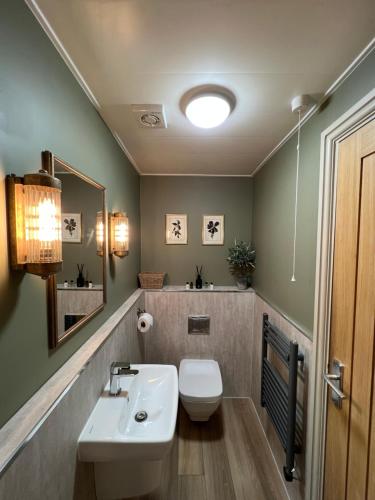 阿尔恩茅斯The Red Lion Inn Alnmouth的浴室配有白色卫生间和盥洗盆。
