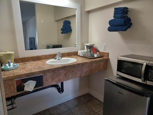 坎卢普斯格兰德维尤汽车旅馆的一间带水槽和微波炉的浴室