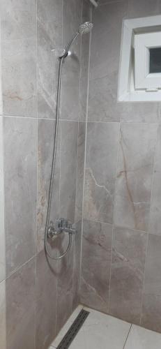 安塔利亚Gelidonia Fenerium Holiday Home的浴室里设有玻璃门淋浴