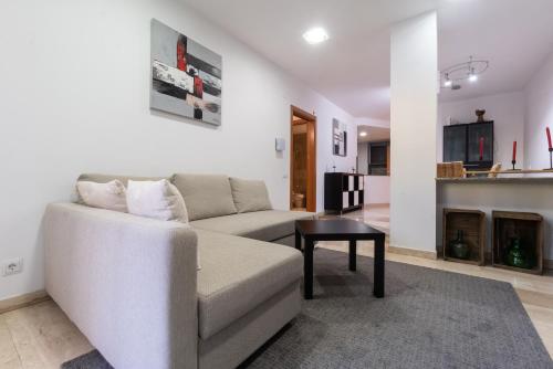 格拉诺列尔斯Apartament Granollers Up Live I的带沙发和壁炉的客厅