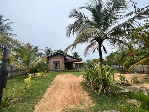 帕西库达Aiden Homestay的棕榈树和土路的房子