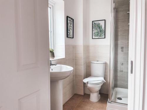 ChristchurchSt Curigs House, by Solace Stays的白色的浴室设有卫生间和水槽。