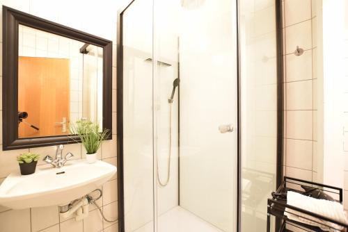因斯布鲁克Super central city appartement with free parking的一间带水槽和淋浴的浴室