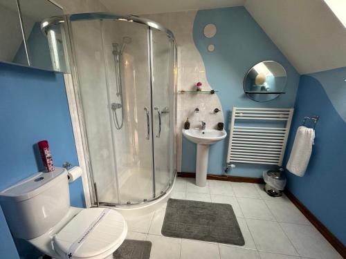 Little ClactonBarnfields Retreat的带淋浴、卫生间和盥洗盆的浴室