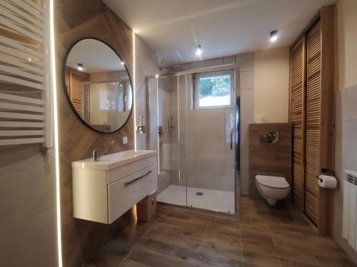 克雷尼察Mirarosa的一间带水槽、卫生间和镜子的浴室