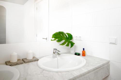 科斯塔特吉塞埃尔瓜拉波公寓的白色的浴室设有水槽和植物