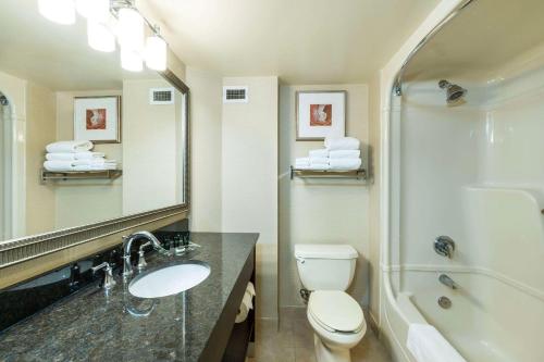 巴里Allure Hotel & Conference Centre, Ascend Hotel Collection的一间带水槽、卫生间和镜子的浴室