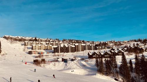 奥勒Sadelbyn Fjällhem的滑雪胜地,人们在雪覆盖的斜坡上滑雪