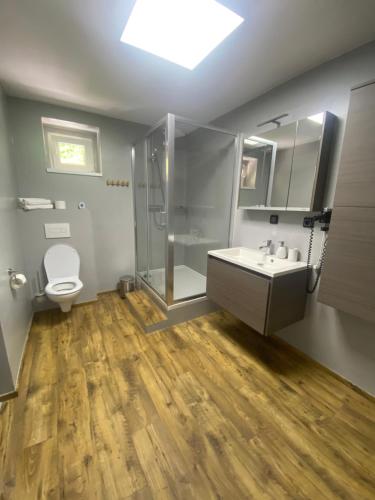 Penzion Puk的浴室配有卫生间、淋浴和盥洗盆。