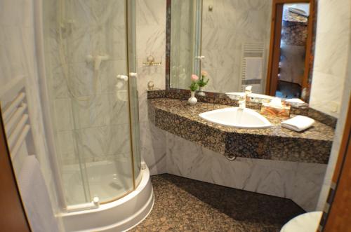 拉特诺福斯特霍夫酒店的一间带水槽和淋浴的浴室