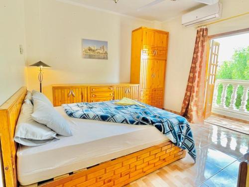 卢克索Luxor Nile View Flats的一间卧室设有一张床和一个大窗户