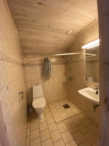 克拉格勒Bergland apartment 28 - close to the center of Kragerø的一间带卫生间和水槽的浴室