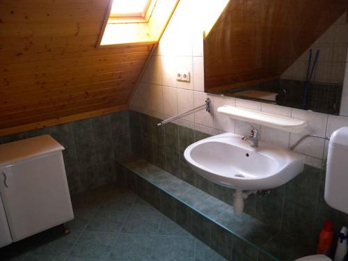 鲍洛通费尼韦什Apartment Balatonfenyves/Balaton 18381的一间带水槽和镜子的浴室