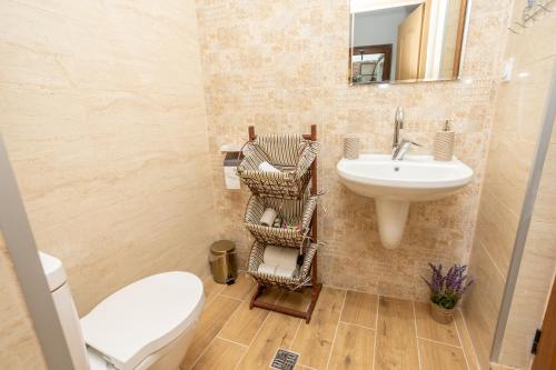 卡瓦尔纳Guests house Provence的一间带卫生间和水槽的浴室