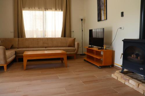 ḤurfeishHar-Adir B&B的带沙发、电视和壁炉的客厅