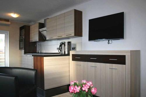 萨斯尼茨萨斯尼茨公寓的厨房配有带鲜花的墙上的电视