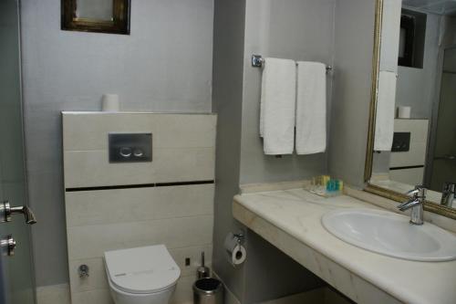 安卡拉阿尔芬酒店的一间带水槽、卫生间和镜子的浴室