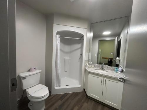 布兰普顿公寓及会议中心酒店 - 布兰普顿的浴室配有卫生间、淋浴和盥洗盆。