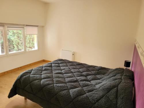 卡尔卡松CINSAULT的一间卧室设有一张大床和两个窗户。