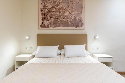 塞维利亚Apartamentos Cervantes 17的一间卧室配有一张带两个白色枕头的大床