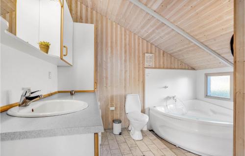 凡岛3 Bedroom Gorgeous Home In Fan的带浴缸、卫生间和盥洗盆的浴室