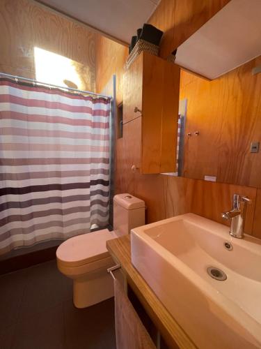 康康La Ritoqueña Hotel de Playa的一间带水槽、卫生间和淋浴的浴室