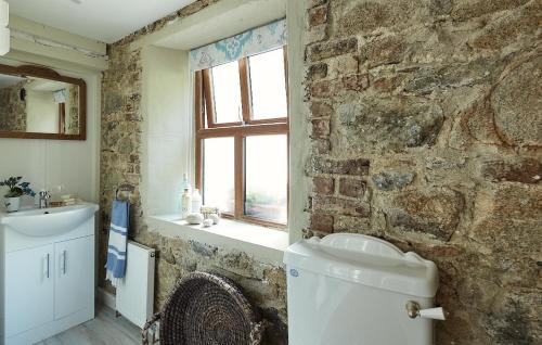 Coolkenna StreetKilquiggan Cottages的石质浴室设有水槽和窗户