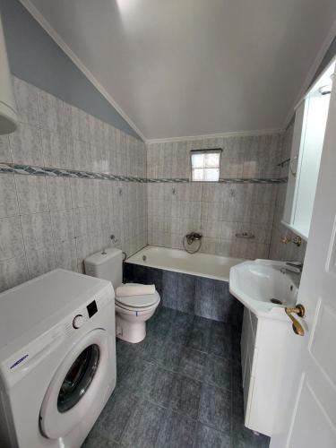 卡图亚该亚Lakkopetra Beach House的浴室配有卫生间、盥洗盆和洗衣机。