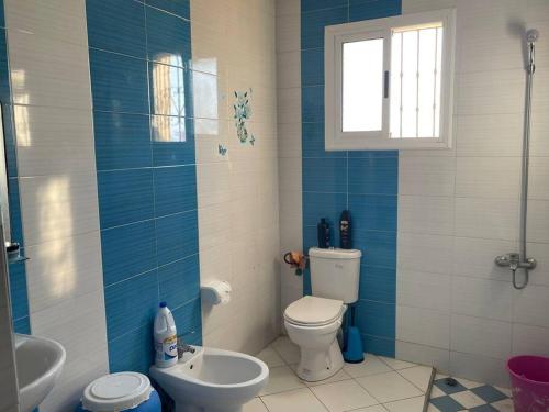 拉乌Grand appart avec vue sur mer的蓝色和白色的浴室设有卫生间和水槽