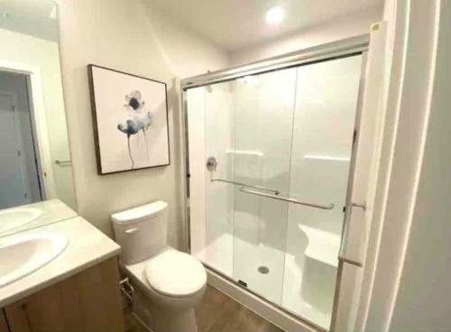 悉尼Perfect Brand New Studio Downtown Sidney的带淋浴、卫生间和盥洗盆的浴室