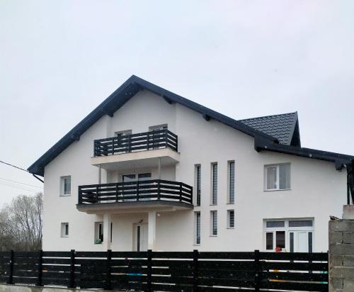舒加塔格盐矿镇Maramureș plai cu flori的黑色屋顶的白色房子