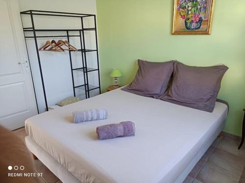 Massillargues-AttuechAnduze Gîte Les Pins au "Petit Clos des Cigales"的一张带两个枕头的大白色床