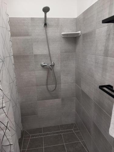艾斯特根Gemini Apartman的浴室内配有淋浴和头顶淋浴