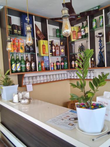 索拉哈Hotel Mirage Sauraha的吧台上装有盆栽的棒