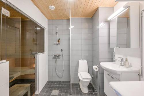 约恩苏Kotimaailma Joensuu - Saunallinen kolmio keskustassa的带淋浴、卫生间和盥洗盆的浴室