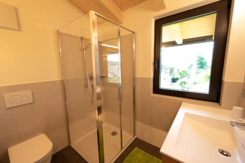 布列瑟农Sunnegg的带淋浴和卫生间的浴室以及窗户。