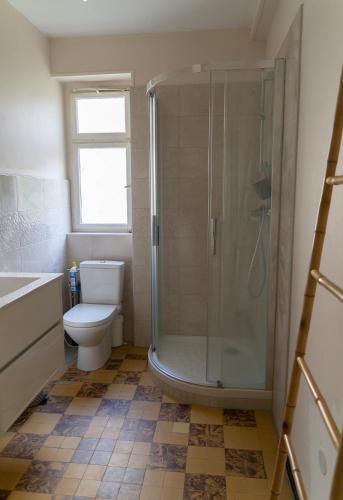 科尔马Yapot的带淋浴、卫生间和盥洗盆的浴室