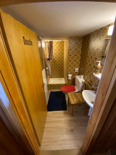 盖尔绍Rigi-Burggeist Alpine Guesthouse的一间带卫生间和水槽的小浴室